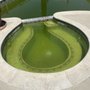Photo of Edgar's Pool Servicing