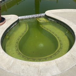 Edgar's Pool Servicing - Sherk and the kids are having a good time(lol)