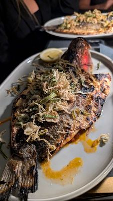 Lyla Toronto by null