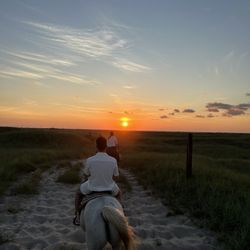 Horses On The Beach