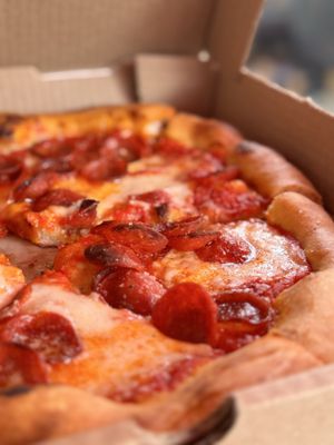 North Italia by null