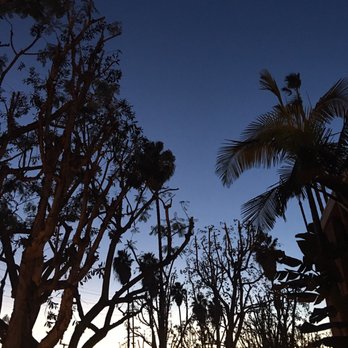 Dr Rogers Tree Service - Tree Services Near Me