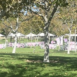 El Fieston Party Rental - Umbrellas