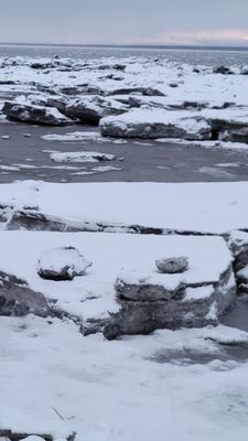 Tony Knowles Coastal Trail by null