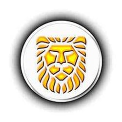 INI Realty - Company Logo