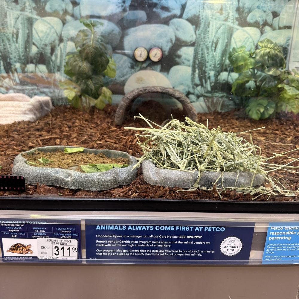 Petco - This turtle has it made in his own cave shade! - Pet Groomers Near Me - Kaneohe, Hawaii