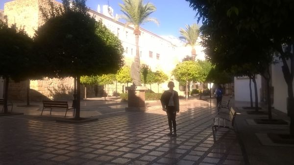 El Fuerte Marbella by null