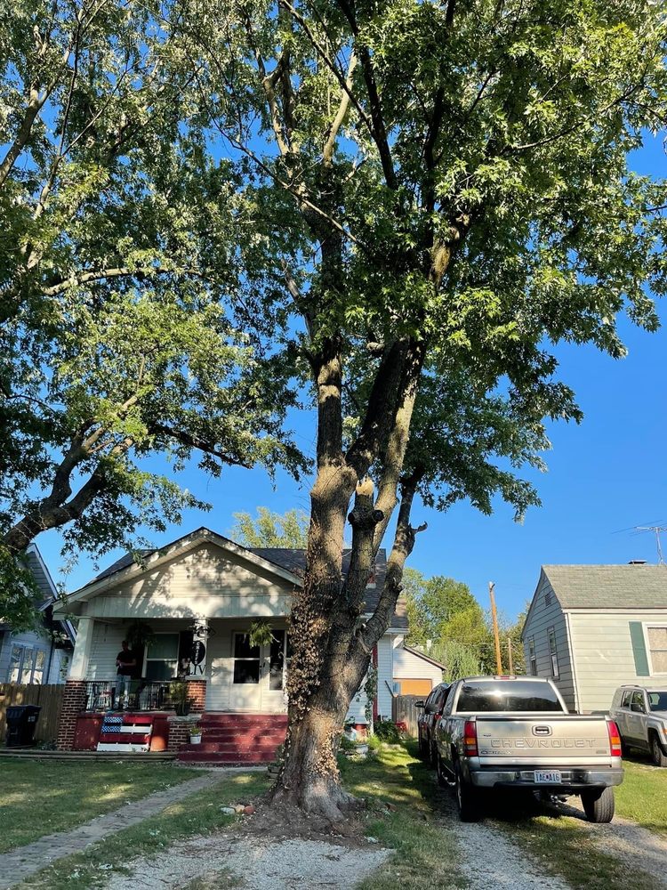 Snyder General Contracting - tree service in Springfield, MO