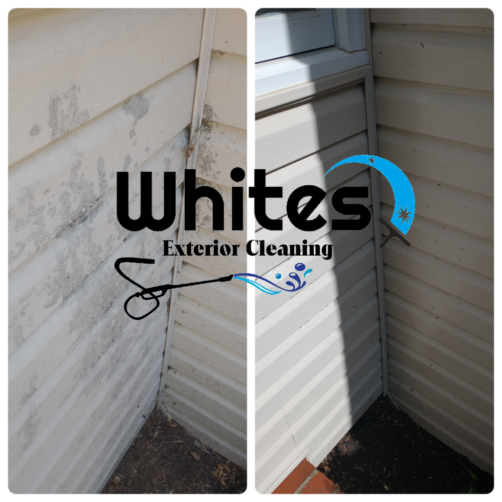 WHITES EXTERIOR CLEANING Updated September 2024 123 Photos
