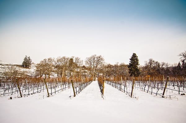 Syncline Winery by null