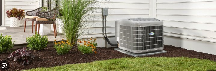 Slide of Jenalia Mechanical