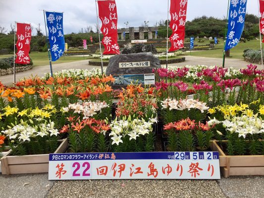 リリーフィールド公園 12 Photos Botanical Gardens 伊江村東江上 国頭郡 沖縄県 Japan Phone Number Yelp