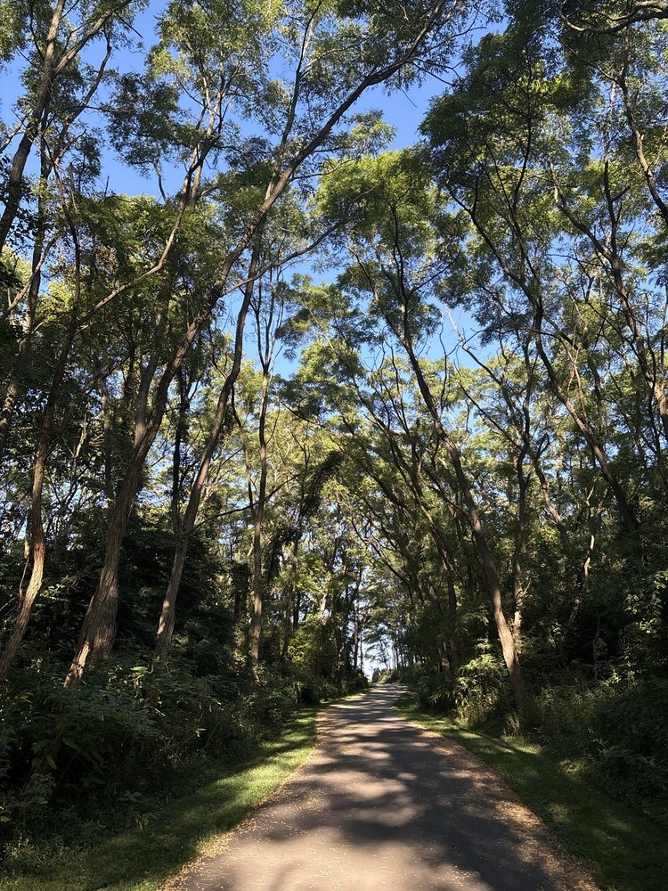 Lake of the Woods Forest Preserve, Buffalo Trace Prairie