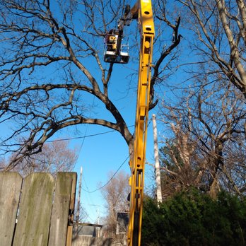 Big River Tree Service - Power lines are never a problem - Tree Services Near Me Big River Tree Service - Power lines are never a problem - Tree Services Near Me