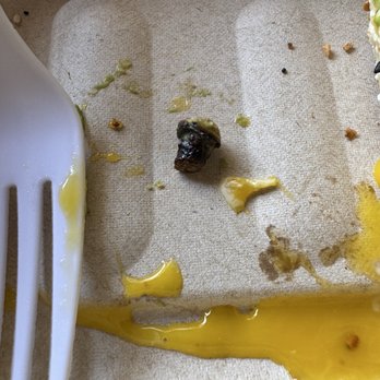 Bageloo - Hard avocado stem - Bagels Near Me - Pasadena, California Bageloo - Hard avocado stem - Bagels Near Me - Pasadena, California