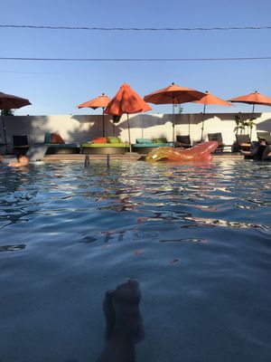 El Segundo Swim Club by null