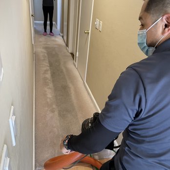 Detail Pro Plus - Cleaning in action - Carpet Cleaning Near Me Detail Pro Plus - Cleaning in action - Carpet Cleaning Near Me