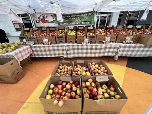 Downtown Long Beach Farmer's Market by null