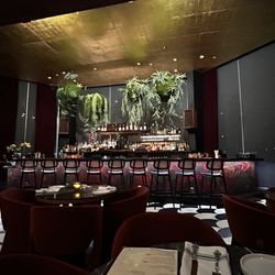 The Lymbar - Bar Area