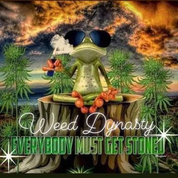 Weed Dynasty - Smoke weed every day!! - Spiritual Shop Near Me - Fruitport, Michigan Weed Dynasty - Smoke weed every day!! - Spiritual Shop Near Me - Fruitport, Michigan