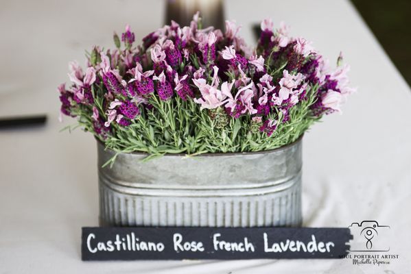 Baker Creek Heirloom Seed Company by null