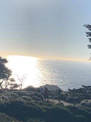 Lands End Labyrinth by null