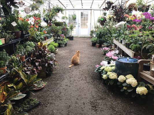 Ballek S Garden Center 90 Maple Ave East Haddam Ct Nurseries Mapquest