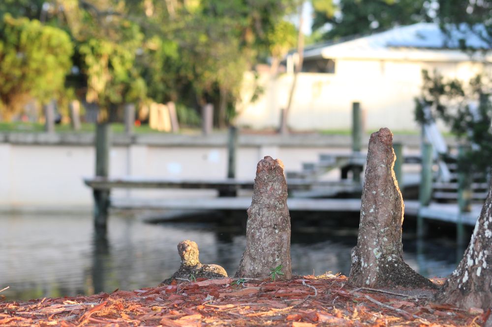 DONALDSON PARK Updated September 2024 18 Photos 900 NW 43rd Ave