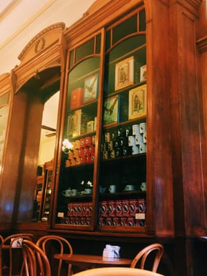 El Gato Negro by null