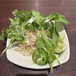 Pho Le - Fresh veggies for the Pho. It was so fresh.