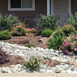 Update: A pic from less than 1 year later. Everything is bountiful and flourishing!