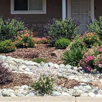 Custom Plantings - Update: A pic from less than 1 year later. Everything is bountiful and flourishing! - Landscaping Near Me