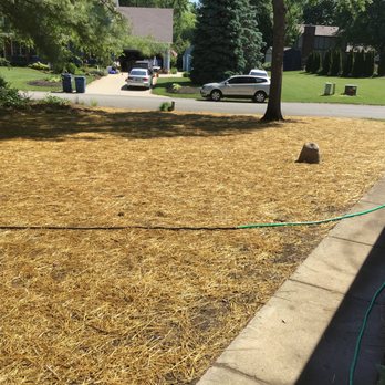 Milestone Landscaping - Removed all brush and roots for a nice lawn - Landscaping Near Me - Anderson, Indiana