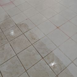 All Clean Carpet Care