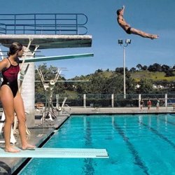 Premier Swim Academy - Platform and Springboard Diving and Swimming