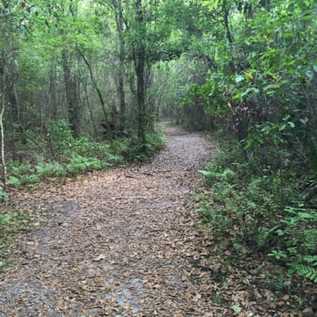 Cofrin Nature Park - Nice trails - Parks Near Me - Gainesville, Florida Cofrin Nature Park - Nice trails - Parks Near Me - Gainesville, Florida