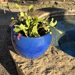 Great pot!