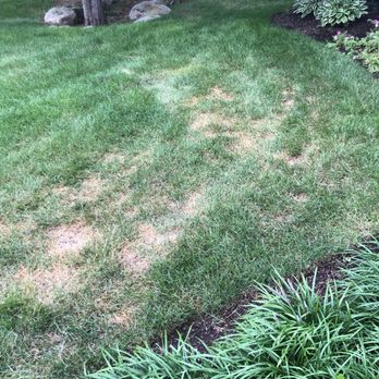 SeaScape - Lawn Services Near Me - Coventry, Rhode Island