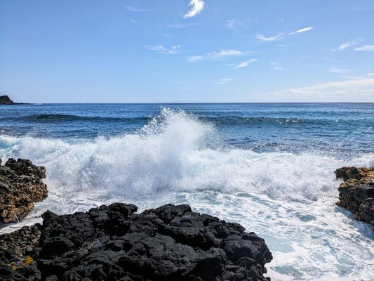 Makapuu Beach Park by null