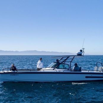 Santa Barbara Whale Watch - Whale Watching Tours Near Me - Santa Barbara, California Santa Barbara Whale Watch - Whale Watching Tours Near Me - Santa Barbara, California