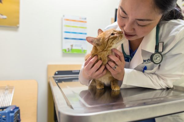 banfield declaw cost