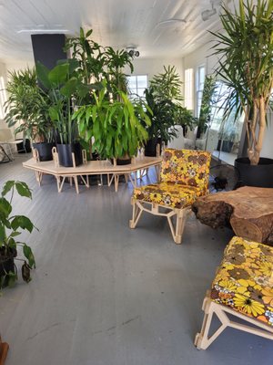 Project Row Houses by null