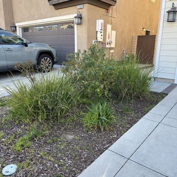 Ceron Landscaping - Before planter - Tree Services Near Me Ceron Landscaping - Before planter - Tree Services Near Me