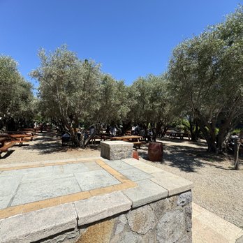 V Sattui Winery - July 5 2024 - picnic tables - Wineries Near Me - Saint Helena, California