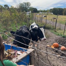 Enjoy Pioneer Farm