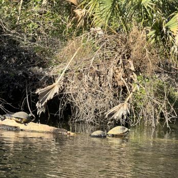 King's Landing - Rafting/Kayaking Near Me - Apopka, Florida