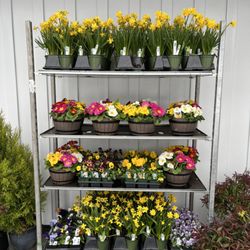 Paradise Acres Garden Center