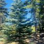 Castle Rock Trailhead