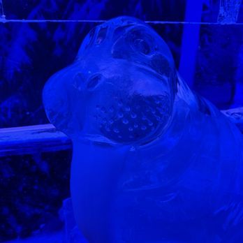 minus5 ICEBAR - Lounges Near Me - Las Vegas, Nevada
