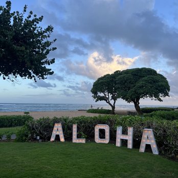 Oasis on the Beach - Great location - Hawaiian Near Me - Kapaa, Hawaii Oasis on the Beach - Great location - Hawaiian Near Me - Kapaa, Hawaii